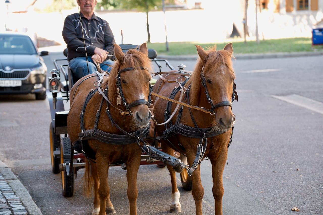 Mauritiusfest-2024-05