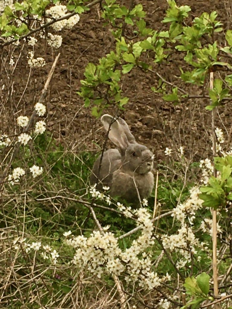 04-Karfreitagswanderung-2024